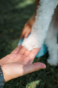 Close-up of human hand