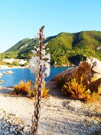Scenic view of land against clear blue sky