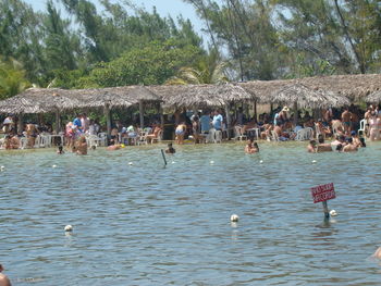 People swimming in water