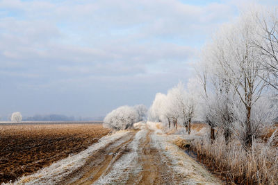 Snow covered field against sky