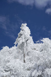 Scenic view of snow covered mountain against sky