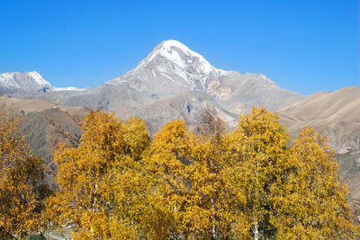 View of mount kazbek in the greater caucasus mountains of georgia near to village of stepantsminda.