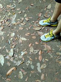 Low section of person standing on autumn leaves