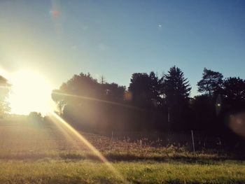 Sunlight streaming through trees on field against sky on sunny day