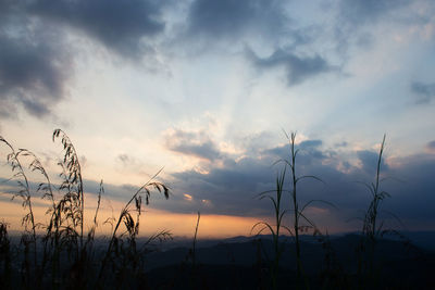 Silhouette landscape against cloudy sky during sunset