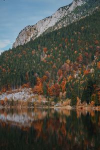 Scenic view of lake by trees against sky
