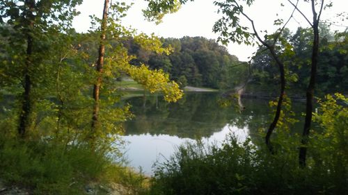 Scenic view of lake in forest against sky