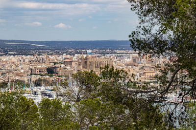 Scenic view from castle bellver at palma on balearic island mallorca, spain
