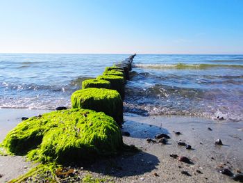 Scenic view of sea against clear sky