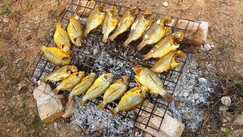 High angle view of fish on barbecue grill