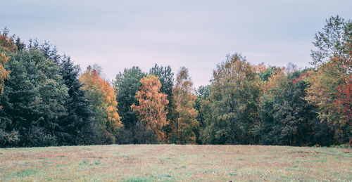 Trees on field against sky during autumn