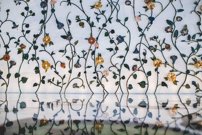 Full frame shot of flowering plants