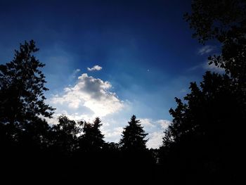 Low angle view of trees against sky