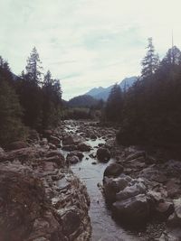 Scenic view of river against sky