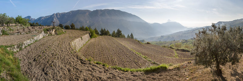 Panoramic view of agricultural field against sky