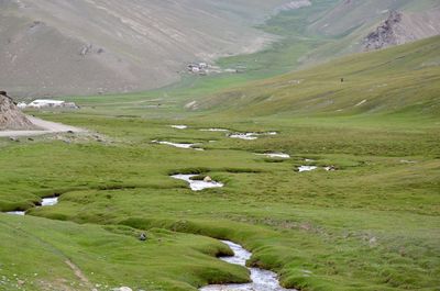 Scenic view of landscape