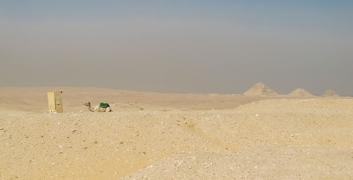 Scenic view of desert against clear sky