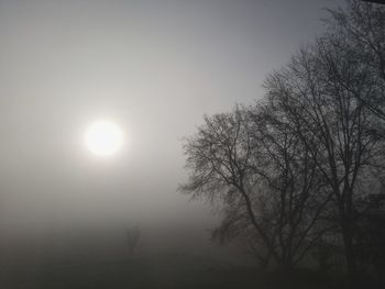 Silhouette bare tree against sky during foggy weather