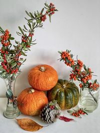 Arrangement of pumpkins, pine cones and rowan berry branches on white background.