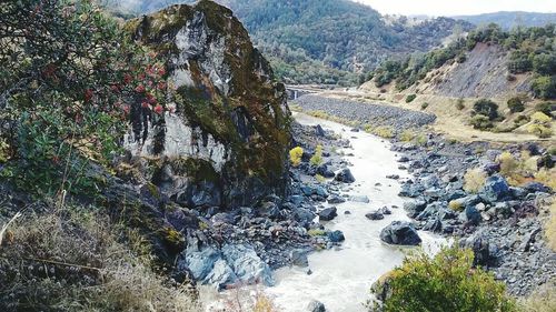 Scenic view of river in forest against sky