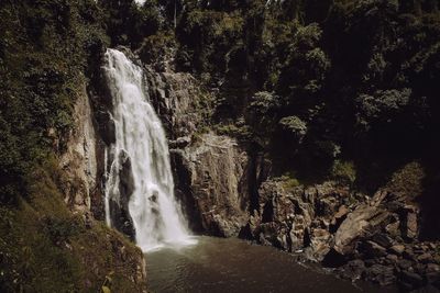 Scenic view of waterfall in forest