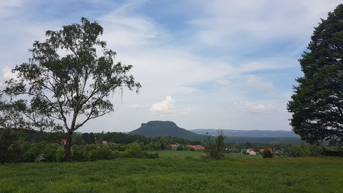 Scenic view of field against sky