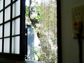 Close-up of window on window sill