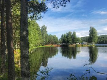 Scenic view of lake in forest against sky