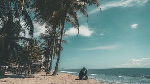 Scenic view of palm trees on beach against sky