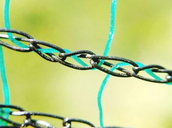 Close-up of metal fence