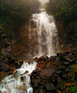 Scenic view of waterfall in forest