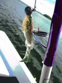 Close-up of fishing net on boat