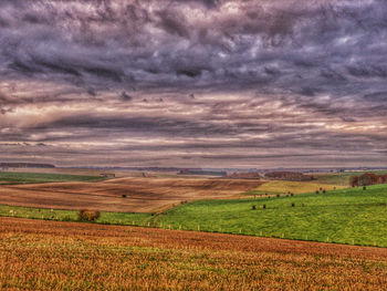 Scenic view of agricultural field against sky