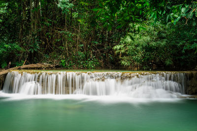 Scenic view of waterfall in forest