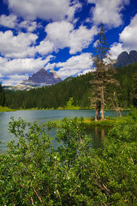 Scenic view of lake by trees against sky