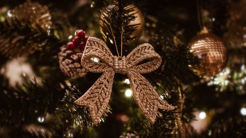 Close-up of christmas decoration hanging on tree