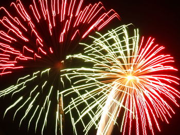 Low angle view of firework display at night