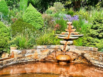 Fountain in garden