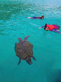 Man swimming in sea