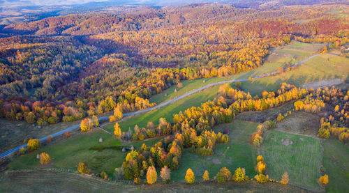 Aerial view of a countryside village road. drone shot of agricultural fields, transylvania, romania