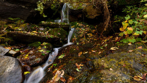 Stream flowing through rocks in forest