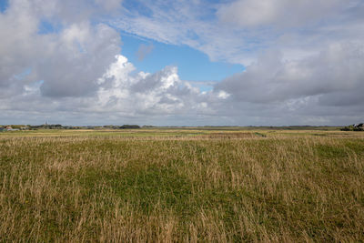 Scenic view of agricultural field against sky