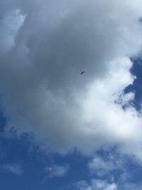 Low angle view of paragliding against sky