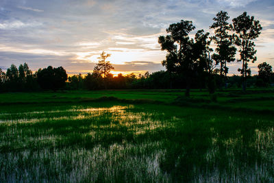 Scenic view of lake against sky at sunset