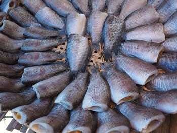 Full frame shot of fish for sale in market