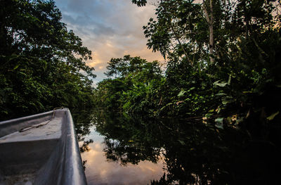 Reflection of trees in water against sky