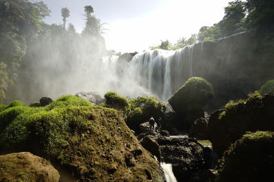 Scenic view of waterfall in forest