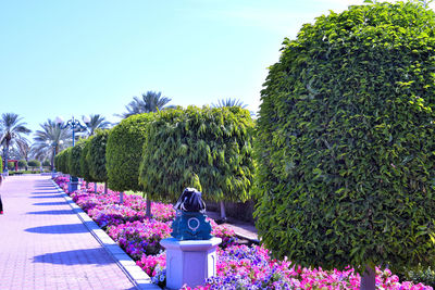 Flowering plants and trees in park against blue sky