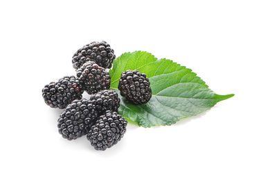 Close-up of fruits against white background