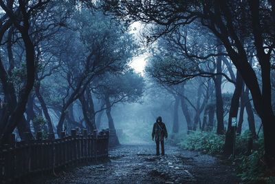 Rear view of woman walking on road amidst trees in forest